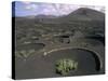 Vine Cultivation, La Geria Region, Lanzarote, Canary Islands, Spain-Ken Gillham-Stretched Canvas