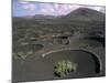 Vine Cultivation, La Geria Region, Lanzarote, Canary Islands, Spain-Ken Gillham-Mounted Photographic Print