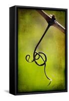 Vine Curl 1-Jessica Rogers-Framed Stretched Canvas