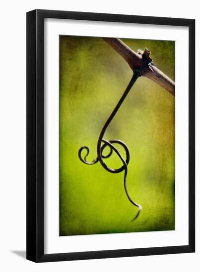 Vine Curl 1-Jessica Rogers-Framed Giclee Print