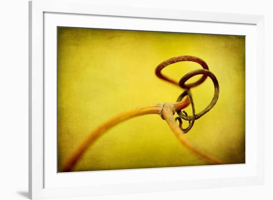 Vine Curl 2-Jessica Rogers-Framed Giclee Print