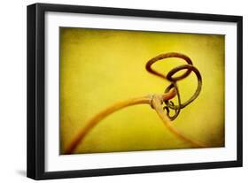 Vine Curl 2-Jessica Rogers-Framed Giclee Print