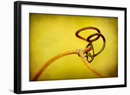 Vine Curl 2-Jessica Rogers-Framed Giclee Print