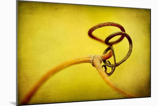 Vine Curl 2-Jessica Rogers-Mounted Giclee Print