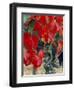 Vine in Autumn, St. Emilion, Bordeaux, France-Adam Woolfitt-Framed Photographic Print