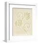 Vine Leaf Decoration-Sophie Adde-Framed Art Print