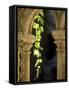 Vine Tendrils on Old Pillars, Chateau Valmagne, Languedoc-Joerg Lehmann-Framed Stretched Canvas