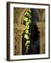 Vine Tendrils on Old Pillars, Chateau Valmagne, Languedoc-Joerg Lehmann-Framed Photographic Print