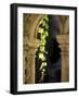 Vine Tendrils on Old Pillars, Chateau Valmagne, Languedoc-Joerg Lehmann-Framed Photographic Print