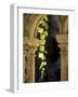 Vine Tendrils on Old Pillars, Chateau Valmagne, Languedoc-Joerg Lehmann-Framed Photographic Print