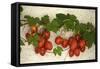 Vine Tomatoes, Mirtos, Crete, Greece, Europe-Christian Heeb-Framed Stretched Canvas