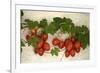 Vine Tomatoes, Mirtos, Crete, Greece, Europe-Christian Heeb-Framed Photographic Print