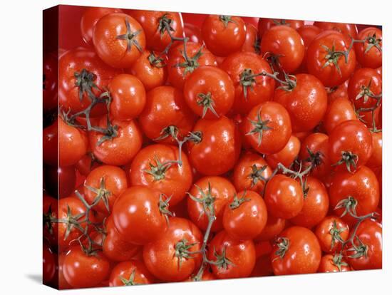 Vine Tomatoes-null-Stretched Canvas