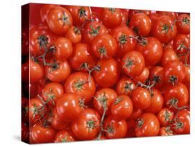 Vine Tomatoes-null-Stretched Canvas