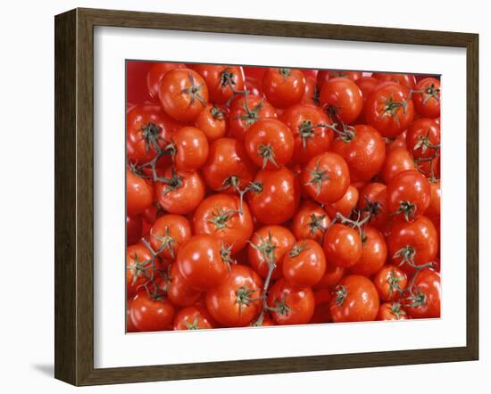 Vine Tomatoes-null-Framed Photographic Print