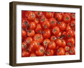 Vine Tomatoes-null-Framed Photographic Print