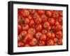 Vine Tomatoes-null-Framed Photographic Print