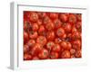 Vine Tomatoes-null-Framed Photographic Print