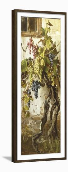 Vine-Giorgio Lucchesi-Framed Giclee Print