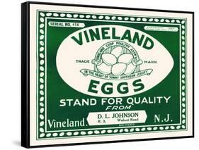 Vineland Eggs-null-Framed Stretched Canvas