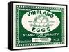 Vineland Eggs-null-Framed Stretched Canvas