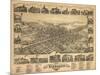 Vineland, New Jersey - Panoramic Map-Lantern Press-Mounted Art Print