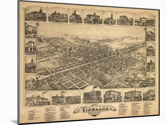 Vineland, New Jersey - Panoramic Map-Lantern Press-Mounted Art Print