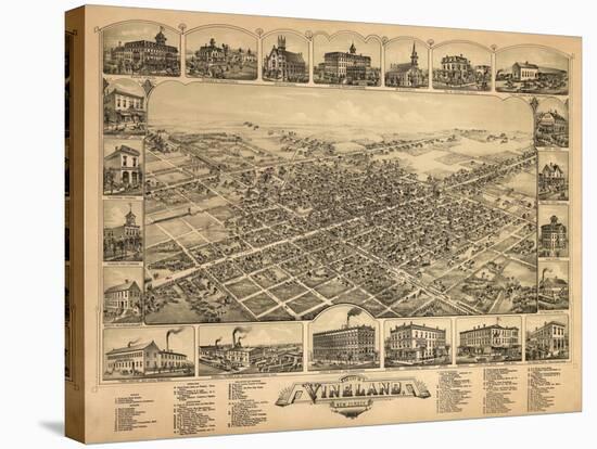 Vineland, New Jersey - Panoramic Map-Lantern Press-Stretched Canvas