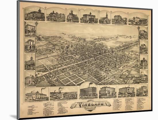 Vineland, New Jersey - Panoramic Map-Lantern Press-Mounted Art Print