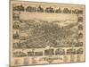 Vineland, New Jersey - Panoramic Map-Lantern Press-Mounted Art Print