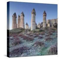 Vines and Fairy Chimneys in the Love Valley, Morning Frost, Tuff, Cappadocia, Anatolia, Turkey-Rainer Mirau-Stretched Canvas