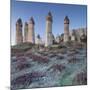 Vines and Fairy Chimneys in the Love Valley, Morning Frost, Tuff, Cappadocia, Anatolia, Turkey-Rainer Mirau-Mounted Photographic Print