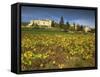 Vines in Front of the Village of Le Poet Laval, Drome, Rhone-Alpes, France, Europe-Michael Busselle-Framed Stretched Canvas