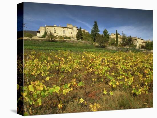 Vines in Front of the Village of Le Poet Laval, Drome, Rhone-Alpes, France, Europe-Michael Busselle-Stretched Canvas