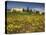 Vines in Front of the Village of Le Poet Laval, Drome, Rhone-Alpes, France, Europe-Michael Busselle-Stretched Canvas