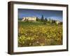 Vines in Front of the Village of Le Poet Laval, Drome, Rhone-Alpes, France, Europe-Michael Busselle-Framed Photographic Print