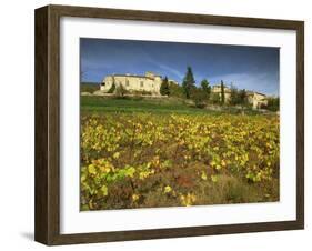 Vines in Front of the Village of Le Poet Laval, Drome, Rhone-Alpes, France, Europe-Michael Busselle-Framed Photographic Print