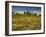 Vines in Front of the Village of Le Poet Laval, Drome, Rhone-Alpes, France, Europe-Michael Busselle-Framed Photographic Print