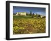 Vines in Front of the Village of Le Poet Laval, Drome, Rhone-Alpes, France, Europe-Michael Busselle-Framed Photographic Print