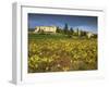 Vines in Front of the Village of Le Poet Laval, Drome, Rhone-Alpes, France, Europe-Michael Busselle-Framed Photographic Print