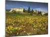 Vines in Front of the Village of Le Poet Laval, Drome, Rhone-Alpes, France, Europe-Michael Busselle-Mounted Photographic Print