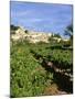 Vines in Vineyard, Village of Bonnieux, the Luberon, Vaucluse, Provence, France-David Hughes-Mounted Photographic Print