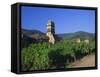 Vines in Vineyards and Tower of the Church of Ste. Croix, Kaysersberg, Haut-Rhin, Alsace, France-Ruth Tomlinson-Framed Stretched Canvas