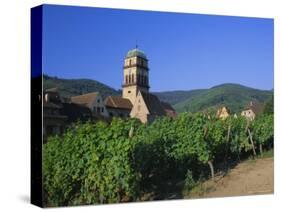 Vines in Vineyards and Tower of the Church of Ste. Croix, Kaysersberg, Haut-Rhin, Alsace, France-Ruth Tomlinson-Stretched Canvas