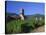 Vines in Vineyards and Tower of the Church of Ste. Croix, Kaysersberg, Haut-Rhin, Alsace, France-Ruth Tomlinson-Stretched Canvas