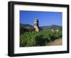 Vines in Vineyards and Tower of the Church of Ste. Croix, Kaysersberg, Haut-Rhin, Alsace, France-Ruth Tomlinson-Framed Photographic Print