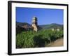 Vines in Vineyards and Tower of the Church of Ste. Croix, Kaysersberg, Haut-Rhin, Alsace, France-Ruth Tomlinson-Framed Photographic Print