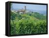 Vines in Vineyards Around Barbaresco, the Langhe, Piemonte (Piedmont), Italy, Europe-Sheila Terry-Framed Stretched Canvas