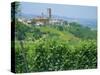 Vines in Vineyards Around Barbaresco, the Langhe, Piemonte (Piedmont), Italy, Europe-Sheila Terry-Stretched Canvas