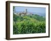 Vines in Vineyards Around Barbaresco, the Langhe, Piemonte (Piedmont), Italy, Europe-Sheila Terry-Framed Photographic Print